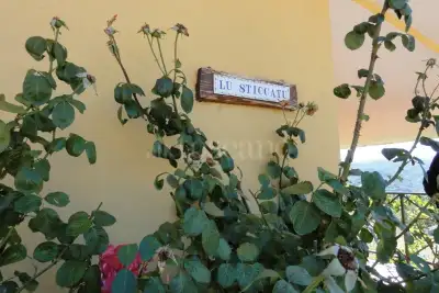 Villa in vendita, VIA PAGLIARA SNC, Petrella Salto