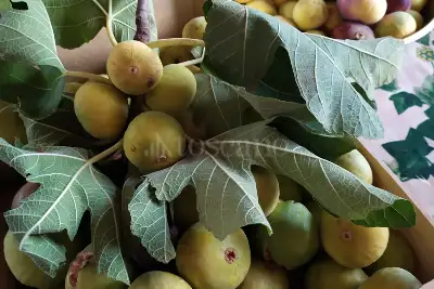 Villa in vendita, Via San Giovanni Bosco, Siracusa