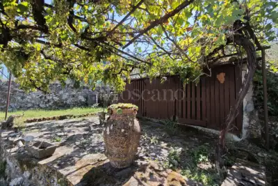 Casa in vendita, Via Valli, Sovicille
