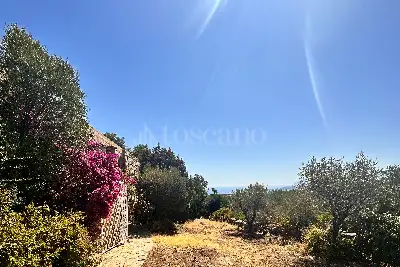 Villa in vendita, Milmeggiu, Portisco Olbia, Olbia