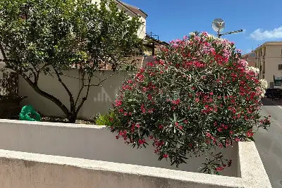 Casa Indipendente in vendita, Via Domenico Millelire, La Maddalena