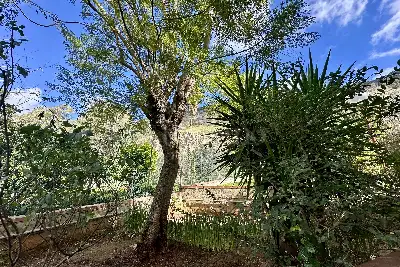 Villa in vendita, Viale Margherita Di Savoia, Palermo
