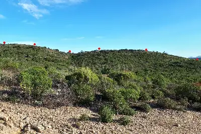 Agricolo in vendita, Berchidda, SP 138, Berchidda