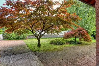 Attività Commerciale in vendita, Via Luinese, Cunardo