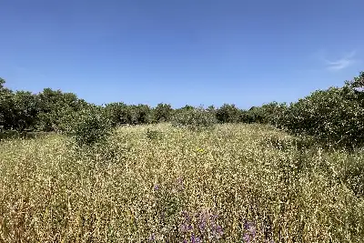 Agricolo in vendita, Piano Torre Spartà, Messina