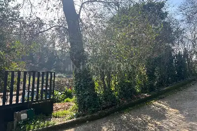 Agricolo in vendita, Via Vinadio, Roma