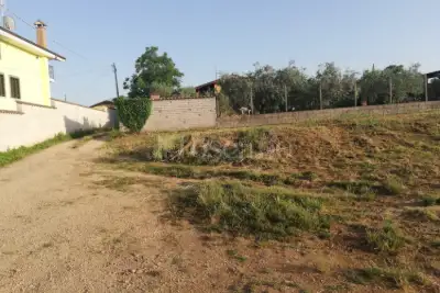 Agricolo in vendita, via delle vascucce, Velletri