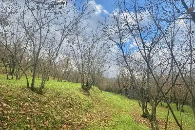 Agricolo in vendita, Via Belle Donne, Cesinali