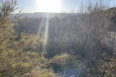 Edificabile Industriale in vendita, Orte Loc. Caldare, Orte