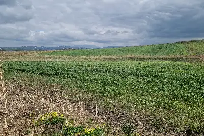 Agricolo in vendita, Trapani C/da Fittasi, Trapani