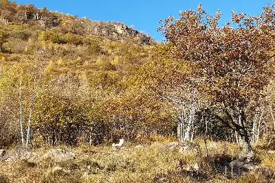 Agricolo in vendita, Via Fratelli Cervi, Brusimpiano