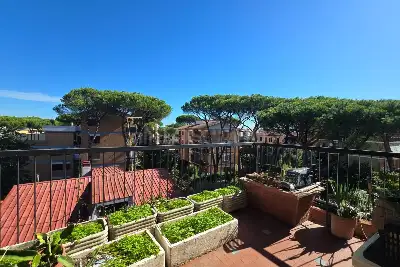 Attico in vendita, Via Francesco Tamagno, Roma