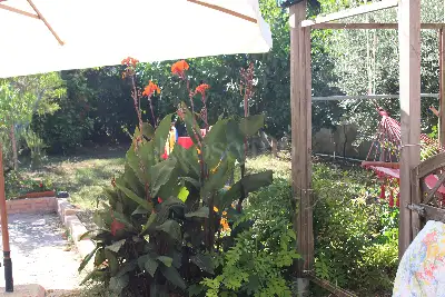 Villino a Schiera in vendita, Contrada Villa Simeoni, Laureana Cilento