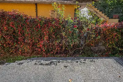 Villa in vendita, Ragalna-Piazza Cisterna, Ragalna