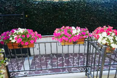 Villa Bifamiliare in vendita, Via Giovanni XXIII, Avezzano