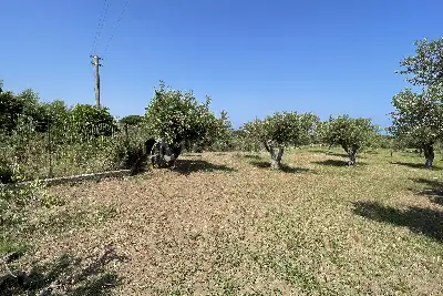 Agricolo in vendita, Piano Torre Spartà, Messina
