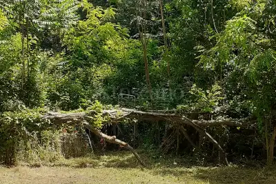 Casa in vendita, Via Antonino Parato, Roma