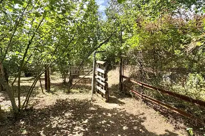 Agricolo in vendita, Via Schiti, Contrada, Contrada