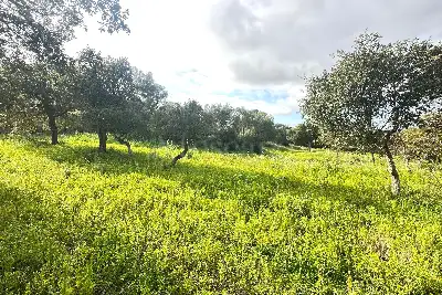 Edificabile Residenziali in vendita, Via Gallura snc, Montelittu, Loiri Porto San Paolo