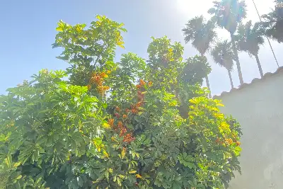 Villa in vendita, Via San Giovanni Bosco, Siracusa