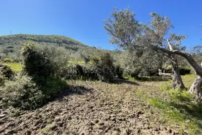 Rustico in vendita, Strada Provinciale 50, Messina