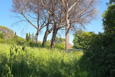 Edificabile Commerciale in affitto, Via Attilio Barriera, Fiumicino