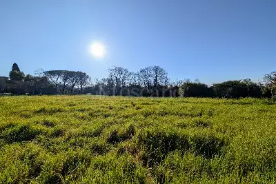 Edificabile Commerciale in vendita, Via Attilio Barriera, Fiumicino