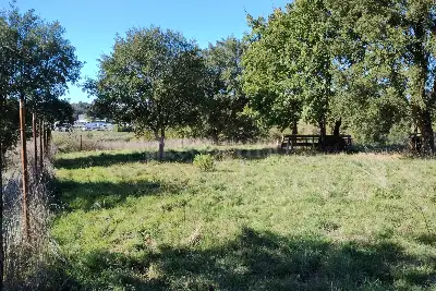 Agricolo in vendita, Via del casale d'Antoni, Roma