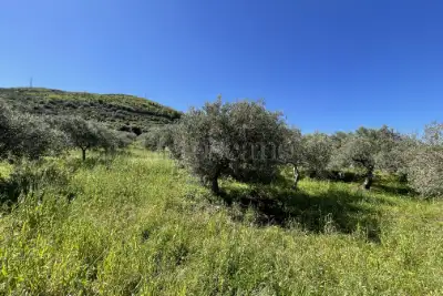 Rustico in vendita, Strada Provinciale 50, Messina