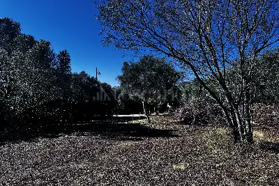 Edificabile Residenziali in vendita, Via Mar Egeo. Pittulongu, Olbia