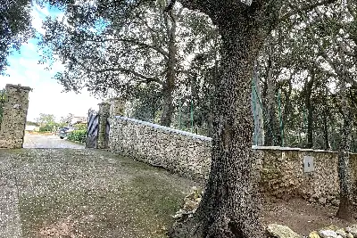 Villa in vendita, Via del Ginepro, Sassari