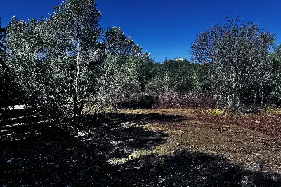 Edificabile Residenziali in vendita, Via Mar Egeo. Pittulongu, Olbia