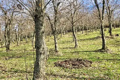 Agricolo in vendita, Contrada Tufarole, Contrada