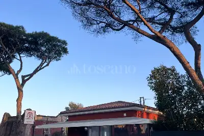 Negozio in vendita, Viale Di Castel San Giorgio, Fiumicino