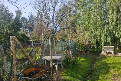 Casa Indipendente in vendita, Strada Gorgolicino, Latina