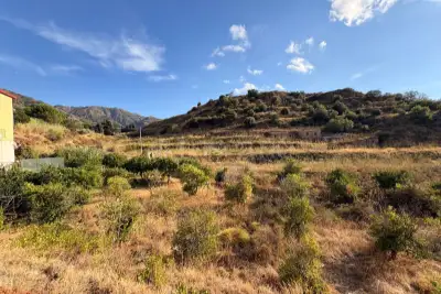 Agricolo in vendita, Via Provinciale per Armo-Gallina, Reggio di Calabria