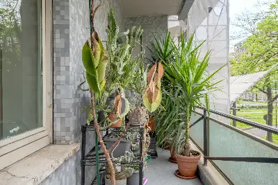 Casa in vendita, Corso Massimo d'Azeglio, Torino