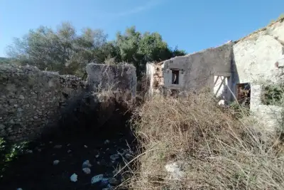 Agricolo in vendita, Noto, Noto