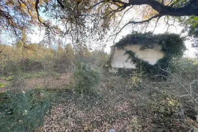 Edificabile Industriale in vendita, Orte Loc. Caldare, Orte