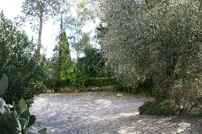 Villa in vendita, via di colle formica, Velletri