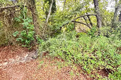 Agricolo in vendita, Loc Graminatoggiu , Loiri Porto San Paolo