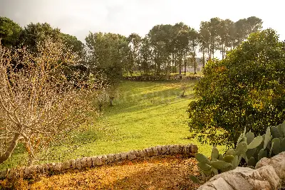 Villa in vendita, Strada Primicerio Zona L, Martina Franca