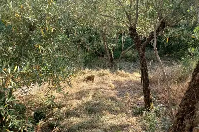 Casa Indipendente in vendita, Contrada Tempa Carnevale , Marsico Nuovo, Marsico Nuovo