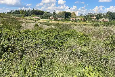 Edificabile Residenziali in vendita, Via Trotula de Ruggiero, Roma