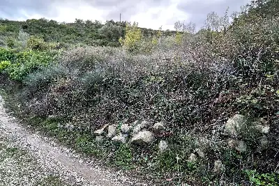 Agricolo in vendita, Via Cristoforo Colombo, Florinas