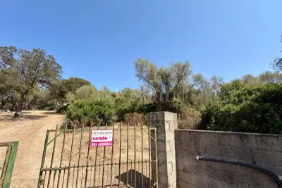 Edificabile Residenziali in vendita, , Telti, Telti