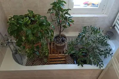 Casa in vendita, Via IV Novembre, Corsico