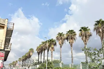 Capannone in vendita, VIA PALERMO, Catania