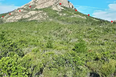 Agricolo in vendita, Berchidda, SP 138, Berchidda