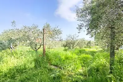 Agricolo in vendita, Terreno Zona Finocchio, Roma